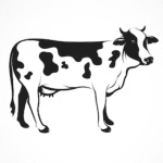 beef. happy paws nutrition